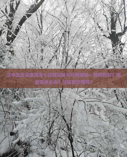 汉中出发云南洱海七日游攻略与行程安排:如何规划?哪些景点必去?住宿餐饮推荐? 汉中出发云南洱海七日游攻略与行程安排:如何规划?哪些景点必去?住宿餐饮推荐?