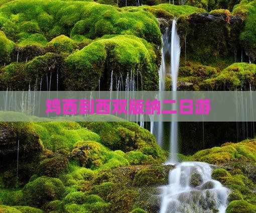 鸡西到西双版纳二日游