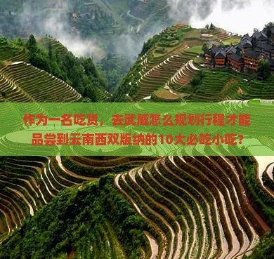 作为一名吃货，去武威怎么规划行程才能品尝到云南西双版纳的10大必吃小吃？