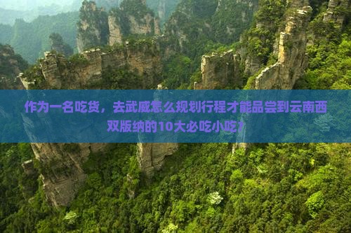 作为一名吃货，去武威怎么规划行程才能品尝到云南西双版纳的10大必吃小吃？