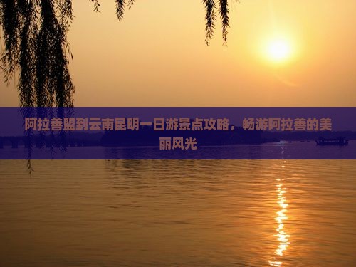阿拉善盟到云南昆明一日游景点攻略,畅游阿拉善的美丽风光 阿拉善盟到云南昆明一日游景点攻略,畅游阿拉善的美丽风光