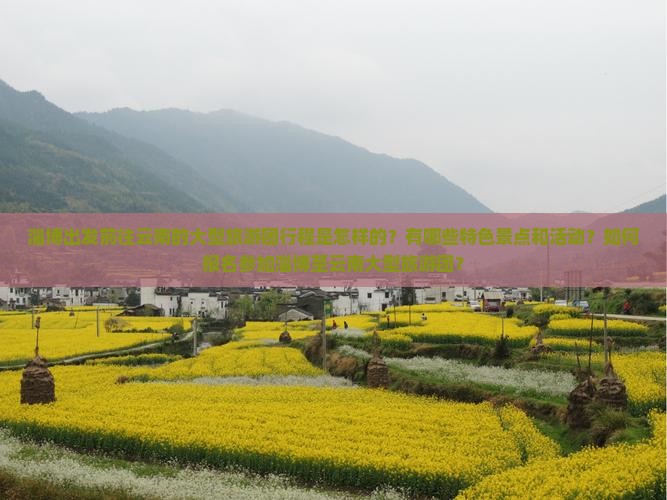淄博出发前往云南的大型旅游团行程是怎样的？有哪些特色景点和活动？如何报名参加淄博至云南大型旅游团？