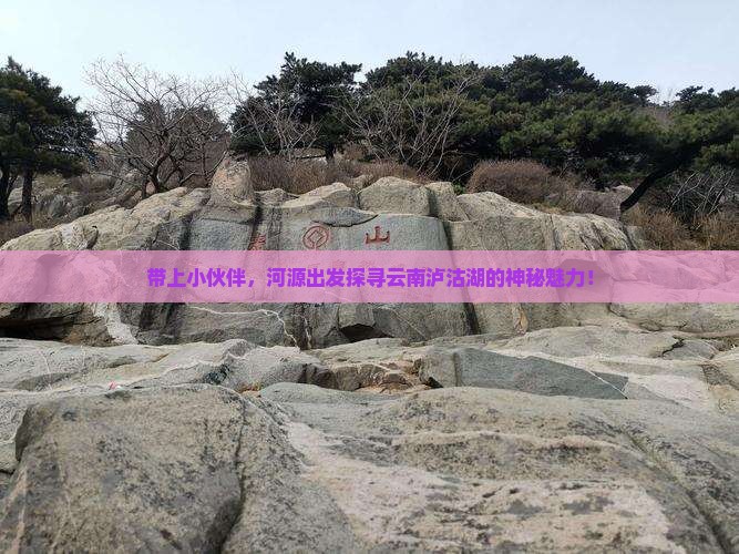 带上小伙伴，河源出发探寻云南泸沽湖的神秘魅力！