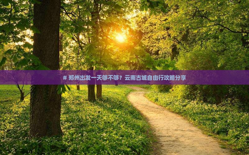 # 郑州出发一天够不够？云南古城自由行攻略分享