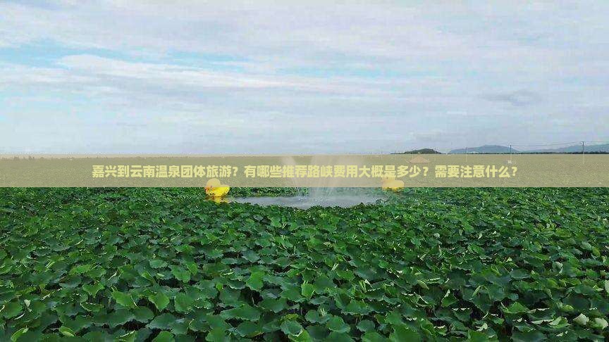 嘉兴到云南温泉团体旅游？有哪些推荐路峡费用大概是多少？需要注意什么？