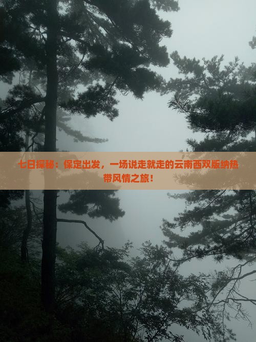 七日探秘：保定出发，一场说走就走的云南西双版纳热带风情之旅！