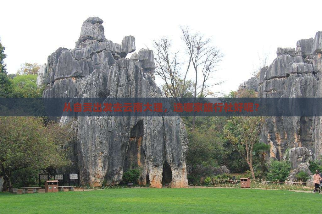从自贡出发去云南大理，选哪家旅行社好呢？