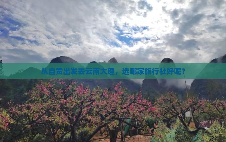从自贡出发去云南大理，选哪家旅行社好呢？