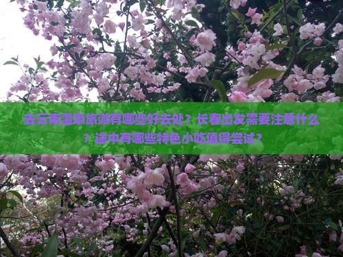 去云南温泉旅游有哪些好去处？长春出发需要注意什么？途中有哪些特色小吃值得尝试？