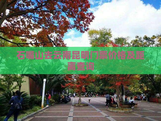 石嘴山去云南昆明门票价格及距离查询