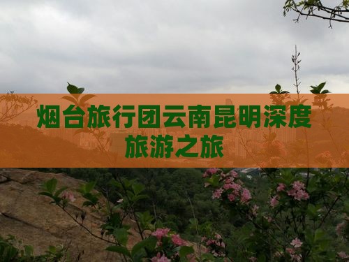 烟台旅行团云南昆明深度旅游之旅