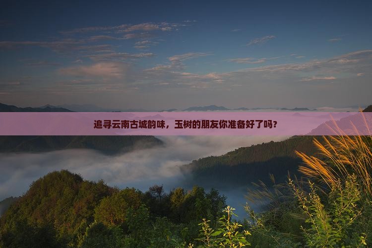 追寻云南古城韵味，玉树的朋友你准备好了吗？