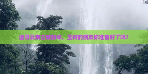 追寻云南古城韵味，玉树的朋友你准备好了吗？