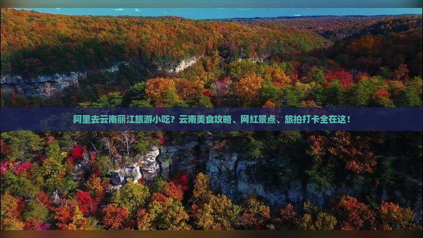 阿里去云南丽江旅游小吃？云南美食攻略、网红景点、旅拍打卡全在这！