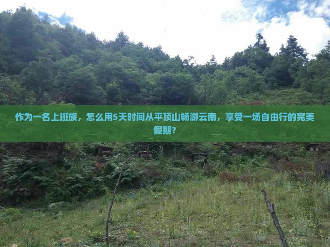 作为一名上班族，怎么用5天时间从平顶山畅游云南，享受一场自由行的完美假期？