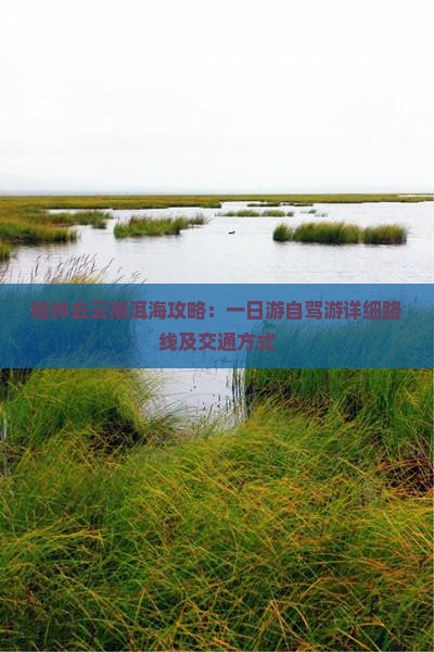 桂林去云南洱海攻略：一日游自驾游详细路线及交通方式