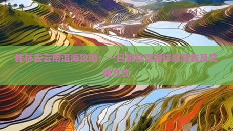 桂林去云南洱海攻略：一日游自驾游详细路线及交通方式