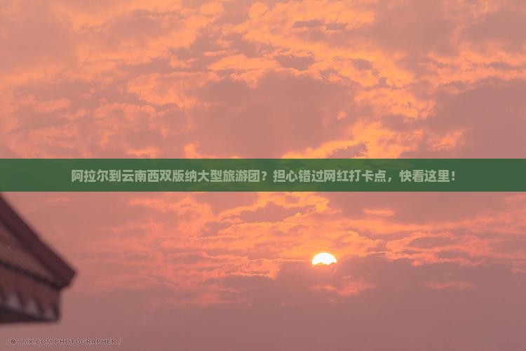 阿拉尔到云南西双版纳大型旅游团？担心错过网红打卡点，快看这里！