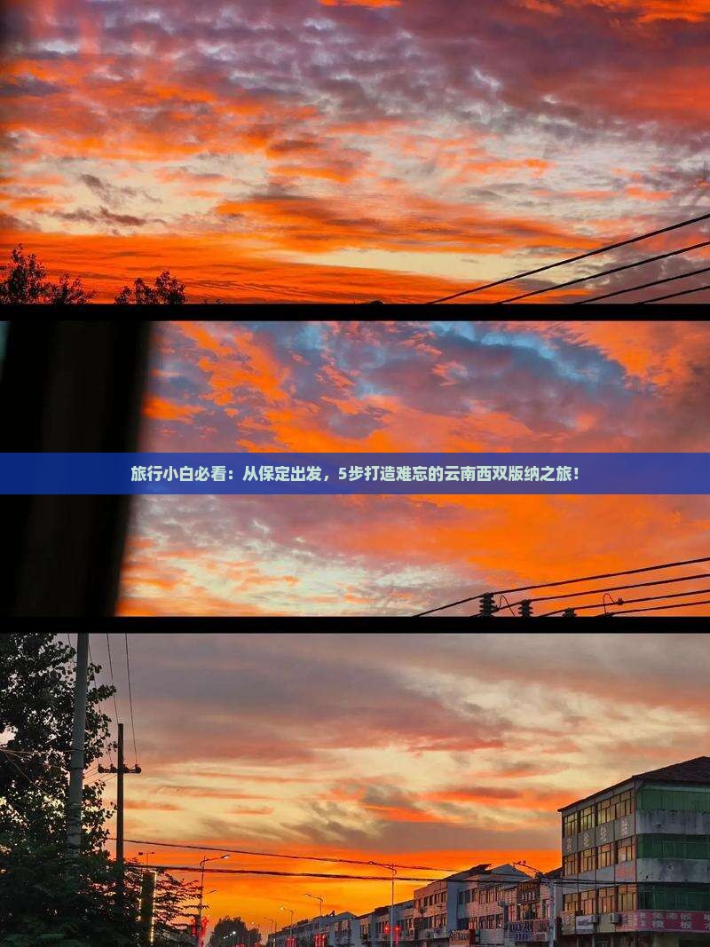 旅行小白必看：从保定出发，5步打造难忘的云南西双版纳之旅！