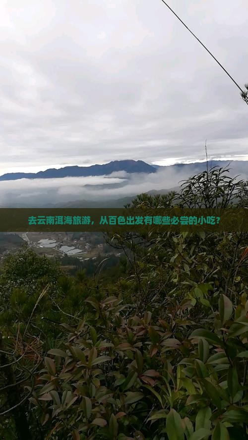 去云南洱海旅游，从百色出发有哪些必尝的小吃？