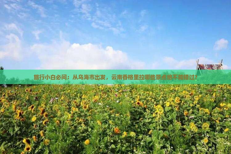 旅行小白必问：从乌海市出发，云南香格里拉哪些景点绝不能错过？