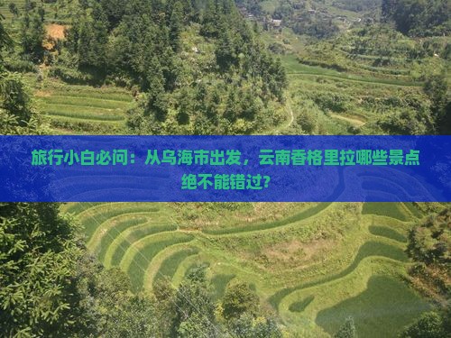 旅行小白必问：从乌海市出发，云南香格里拉哪些景点绝不能错过？