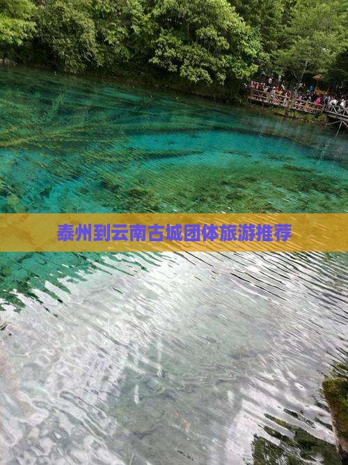 泰州到云南古城团体旅游推荐