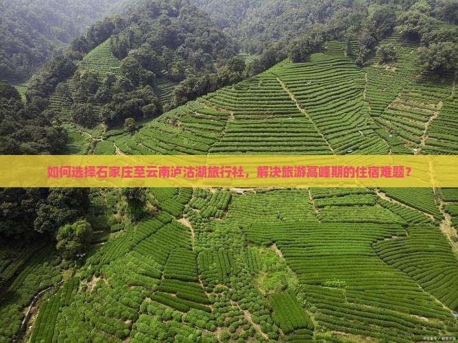 如何选择石家庄至云南泸沽湖旅行社，解决旅游高峰期的住宿难题？