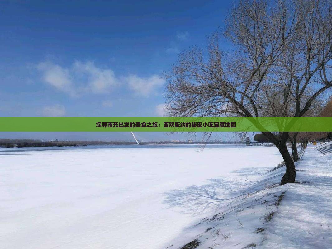 探寻南充出发的美食之旅：西双版纳的秘密小吃宝藏地图