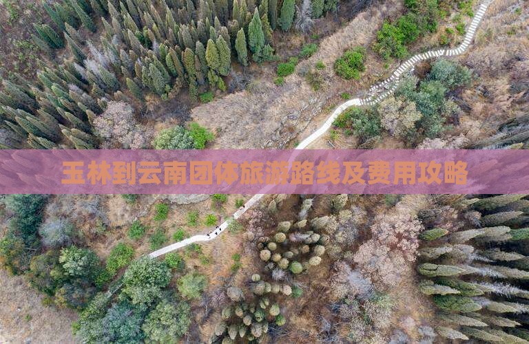 玉林到云南团体旅游路线及费用攻略