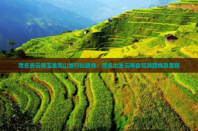 茂名去云南玉龙雪山旅行社