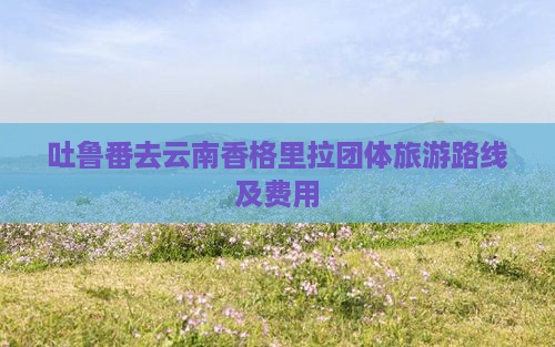 吐鲁番去云南香格里拉团体旅游