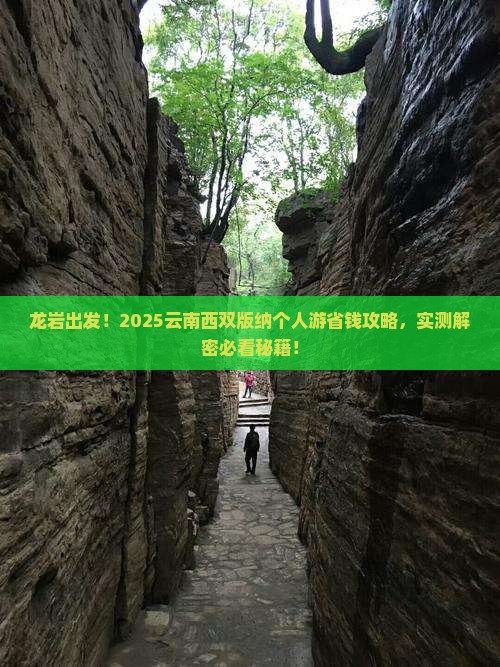 龙岩去云南西双版纳个人游