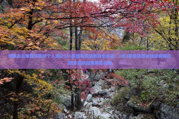 清徐去云南西双版纳个人游
