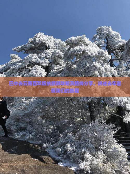 巴中去云南西双版纳旅游