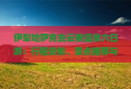 伊犁哈萨克去云南温泉六日游