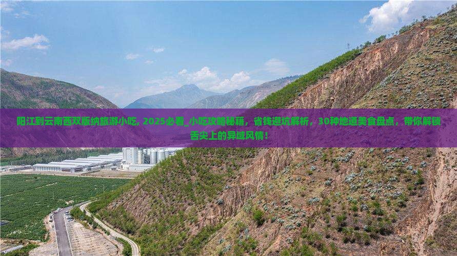 阳江到云南西双版纳旅游小吃