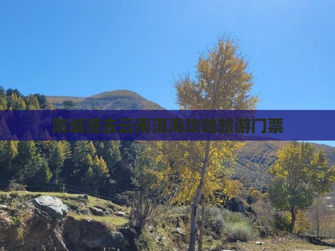 防城港去云南洱海门票