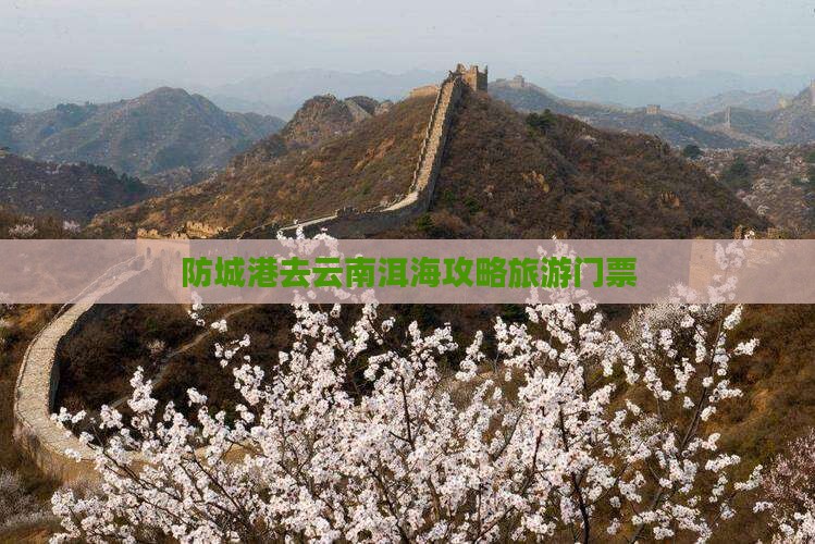 防城港去云南洱海门票