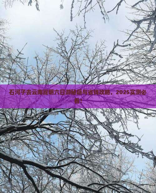 石河子去云南昆明六日游