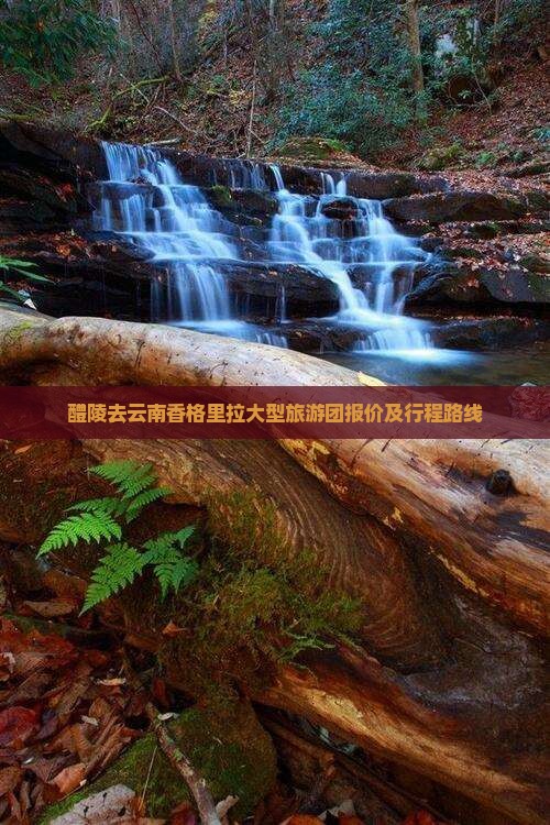醴陵去云南香格里拉大型旅游团