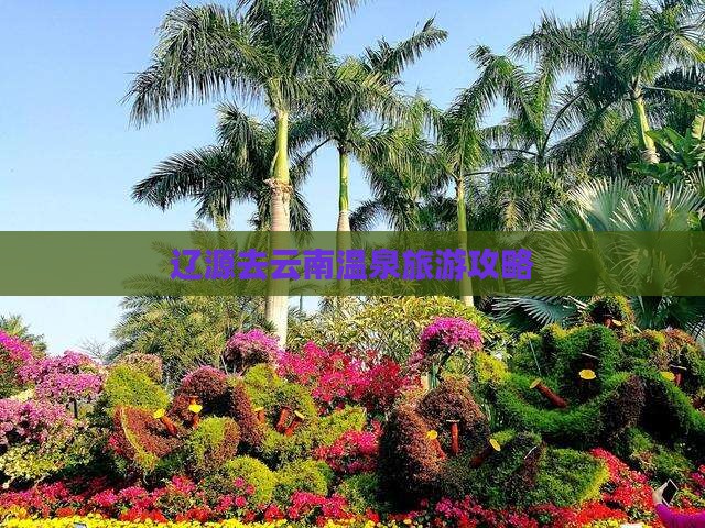 辽源去云南温泉自由团