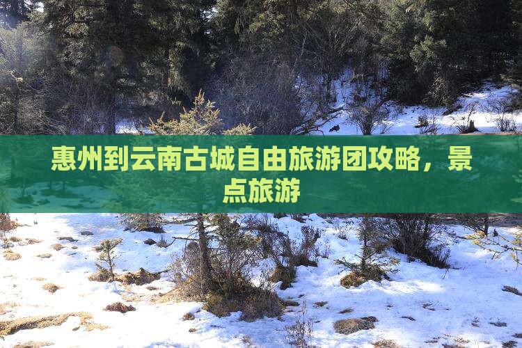 惠州到云南古城自由团