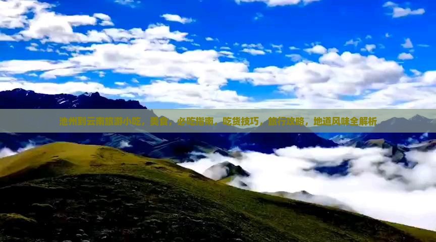 池州到云南旅游小吃