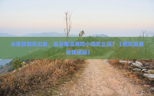 克孜勒苏去云南洱海旅游小吃