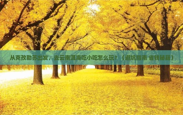 克孜勒苏去云南洱海旅游小吃