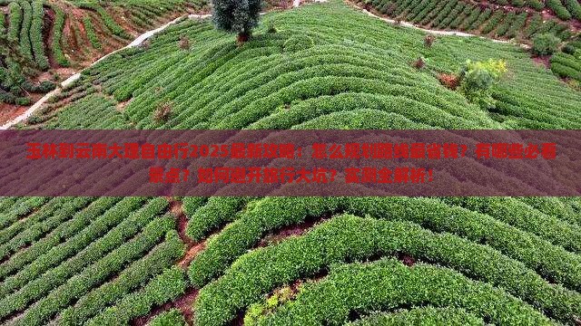玉林到云南大理自由行