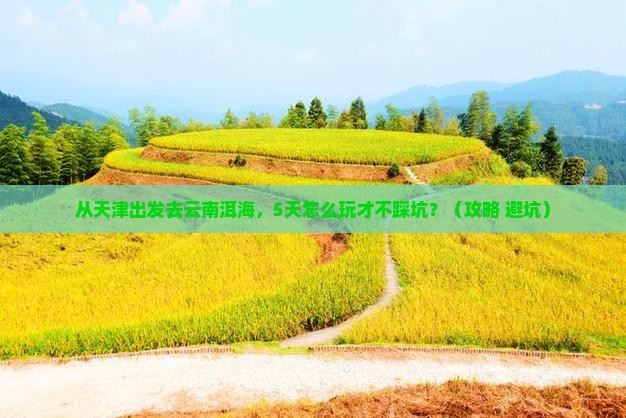 天津去云南洱海攻略