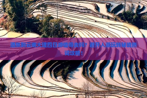 酒泉到云南大理四日游