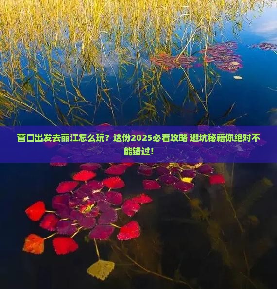 营口到云南丽江攻略